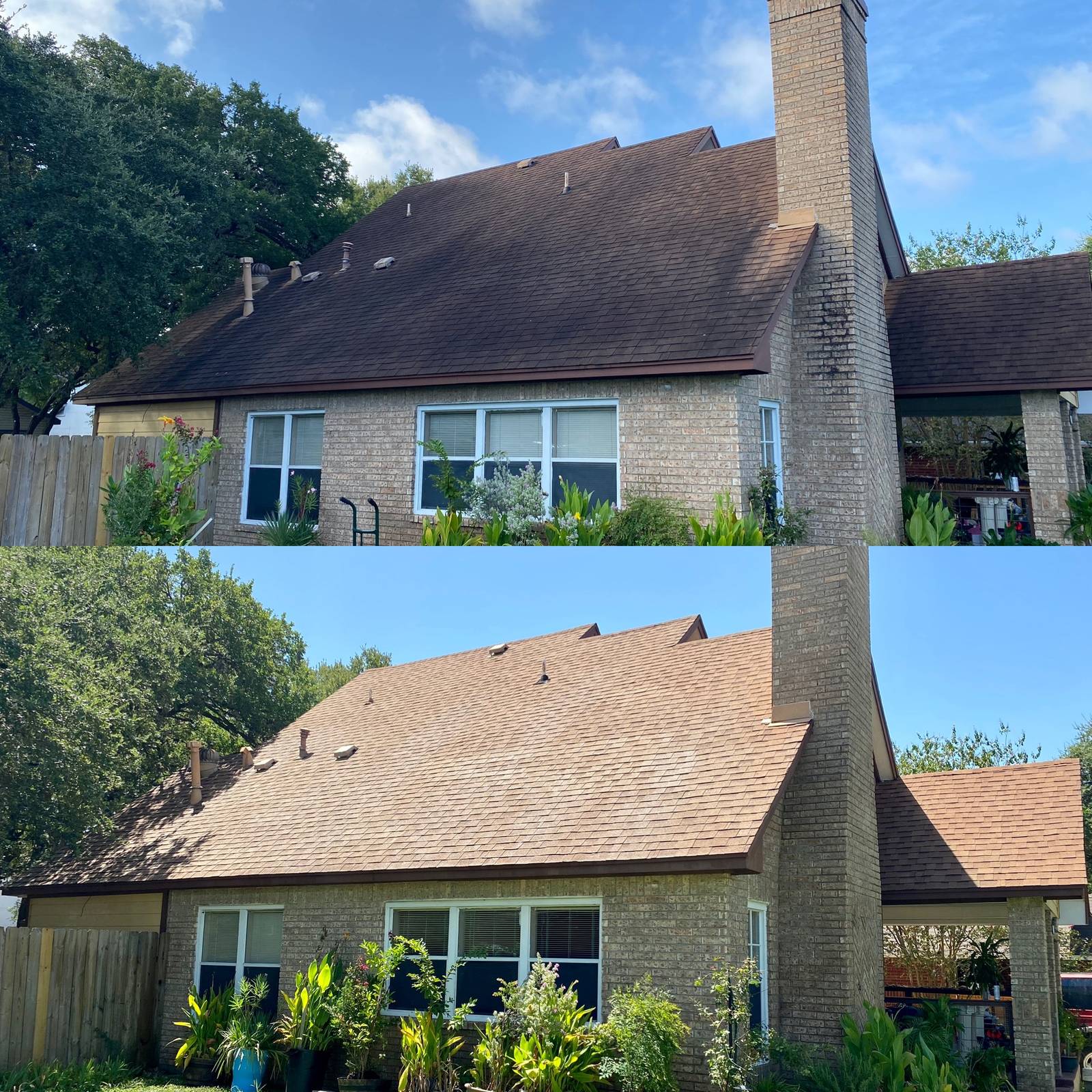 Roof soft wash result